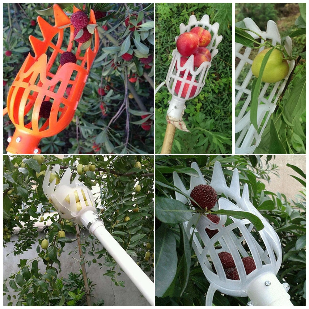 1pcs plastic Fruits Picking Tool fruit picker without post Fruits Catcher Farm Garden Hardware Picking Device Greenhouses Tool 1pcs plastic Fruits Picking Tool fruit picker without post Fruits Catcher Farm Garden Hardware Picking Device Greenhouses Tool
