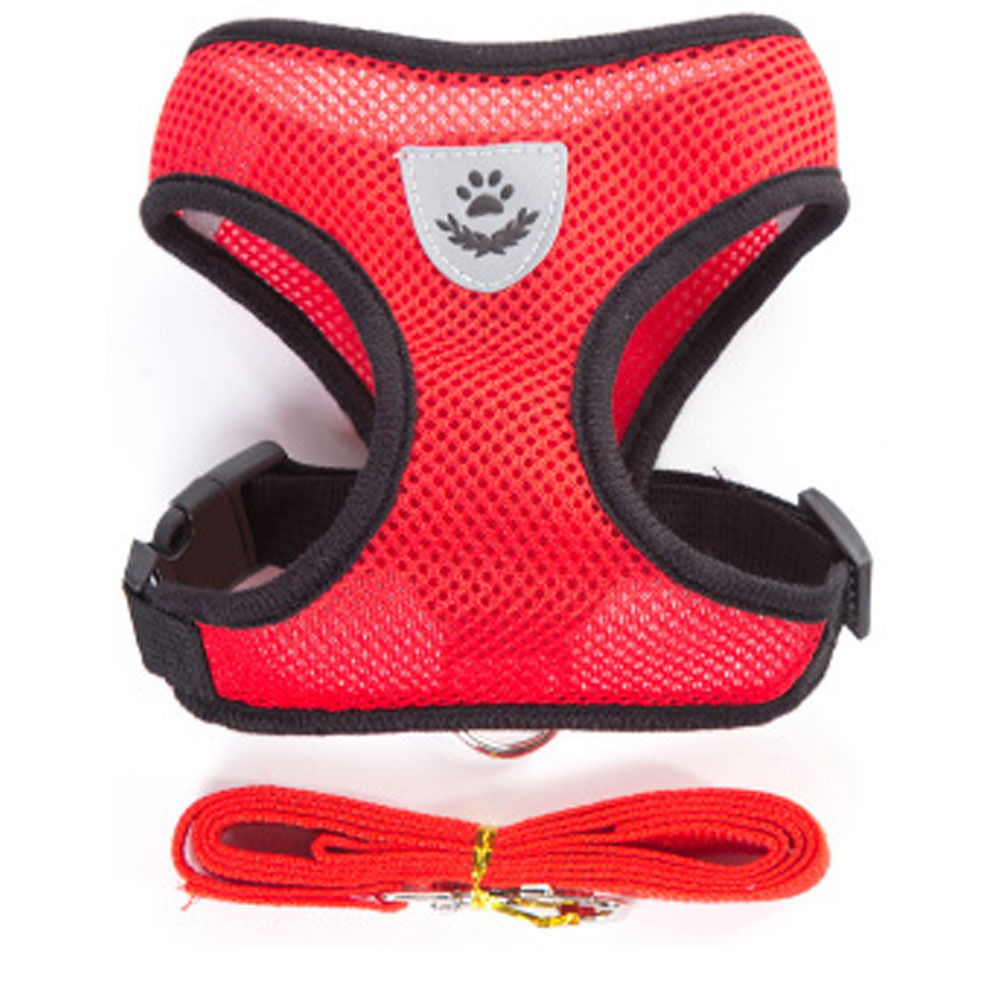 Breathable Small Harness and Leash